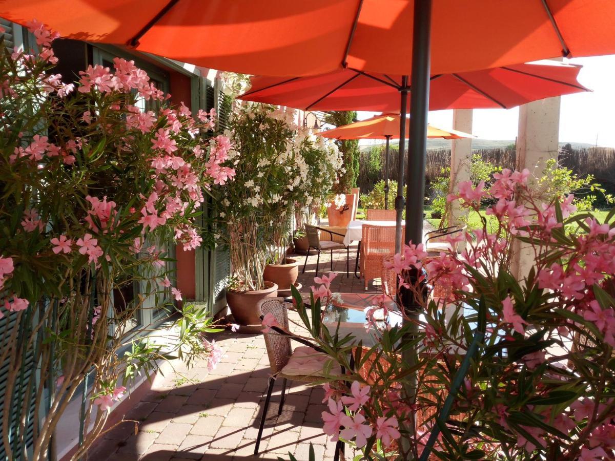 Hotel Santa Coloma Del Camino Olmillos de Sasamon ภายนอก รูปภาพ